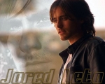 Wallpaper of Jared Leto