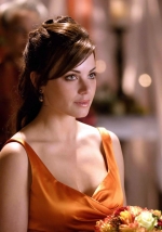 Erica Durance Wallpaper