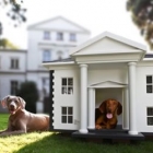 World Most Expensive Pet Homes