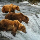 Alaska travel tips and guide