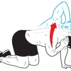 STRONG UPPER BACK