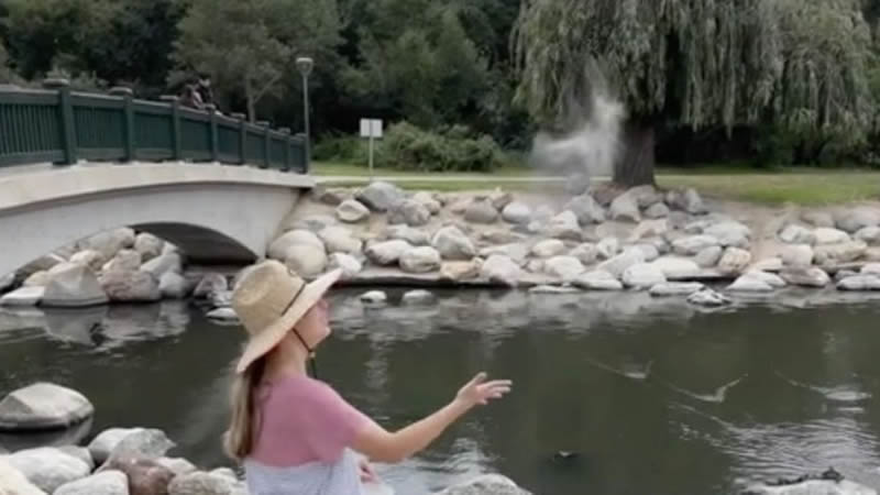 Woman left astonished scattered ashes