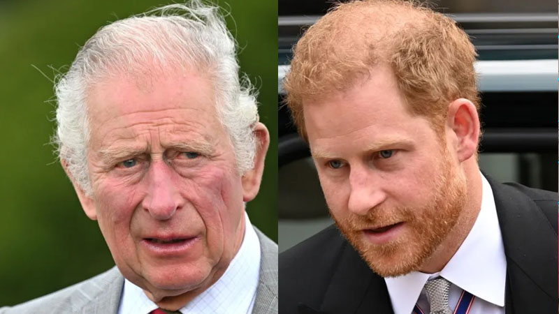  Prince Harry Puts King Charles’ Relationship with the US at Risk