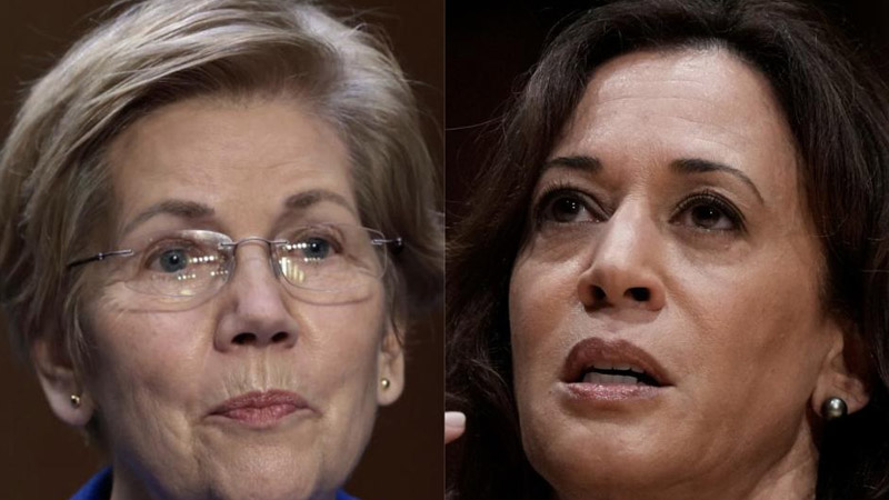  Elizabeth Warren Tries to Apologize to Kamala Harris After Joining Critics’ Chorus, But Vice President Would Not Answer Her Calls