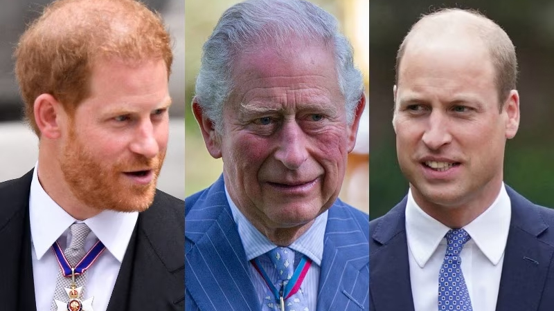  Prince William Unlikely to Forgive Harry, While King Charles Hopes for Reconciliation