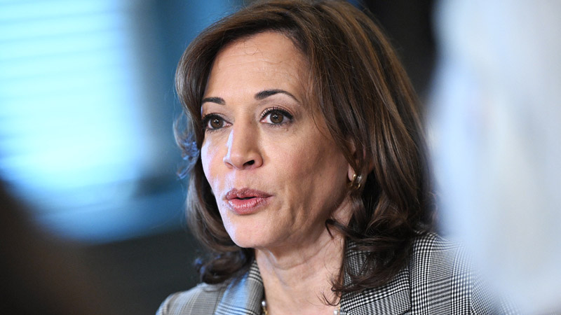  Kamala Harris’ Ancestry Sparks Controversy Amid Allegations of Link to Irish Slave Owner