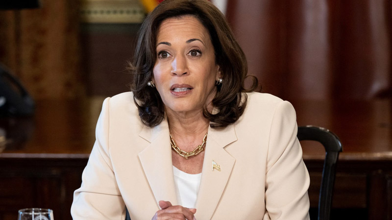  GOP Strategist Admits ‘You Put Me in a Tough Spot’ Amid Wave of Anti-Trump Republican Endorsements for Kamala Harris