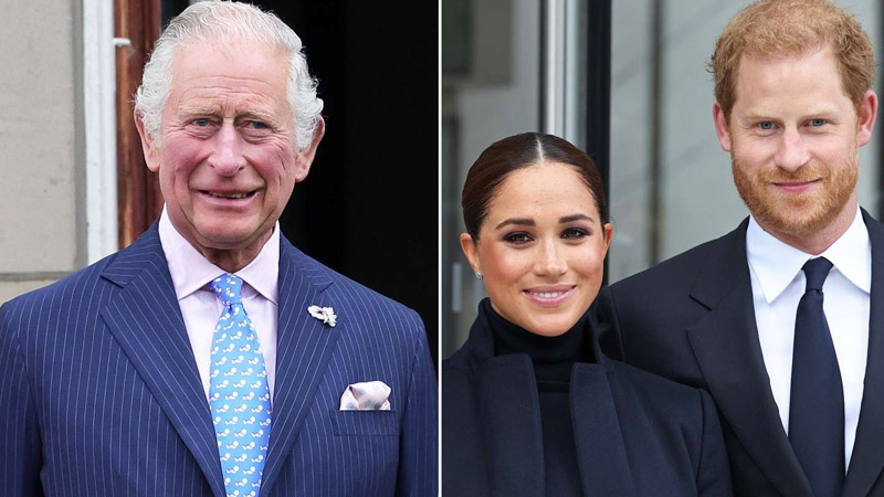  King Charles Criticized for ‘Bad Decisions’ Involving Harry and Meghan in Key Events