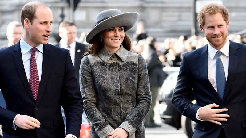  Kate Middleton Reportedly Seeks Private Meeting with Prince Harry Without Meghan Markle