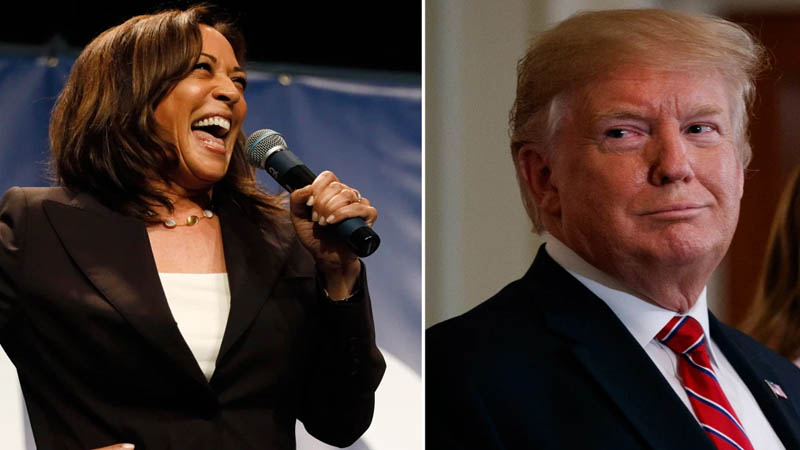  Harris Has Two Paths to Victory Over Trump in 2024 Election: Washington Post Analysis