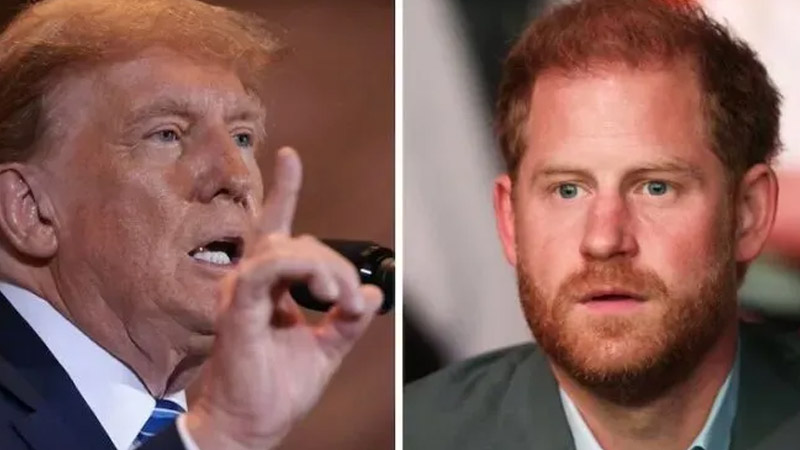  Meghan and Harry’s Feud with Trump Reflects Growing Divide in America, Claims Royal Expert