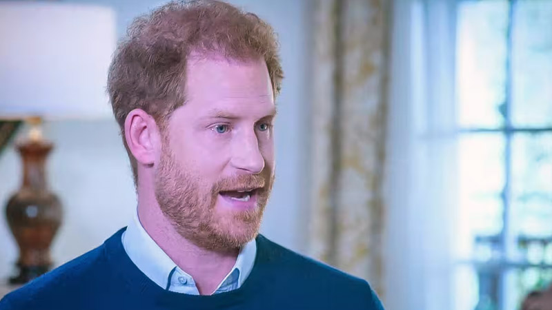  Prince Harry realizes being royalty ‘doesn’t count for much’ in the US, says Royal expert