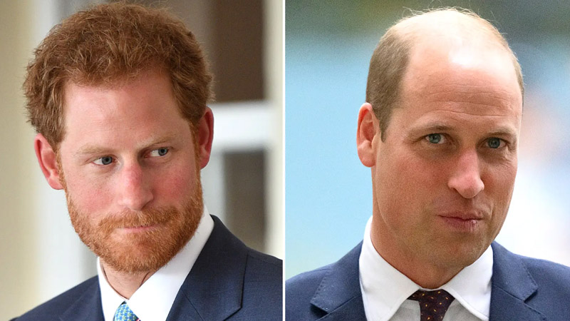  Royal Expert Reveals Prince William Has ‘No Room’ for Prince Harry Despite Birthday Well Wishes