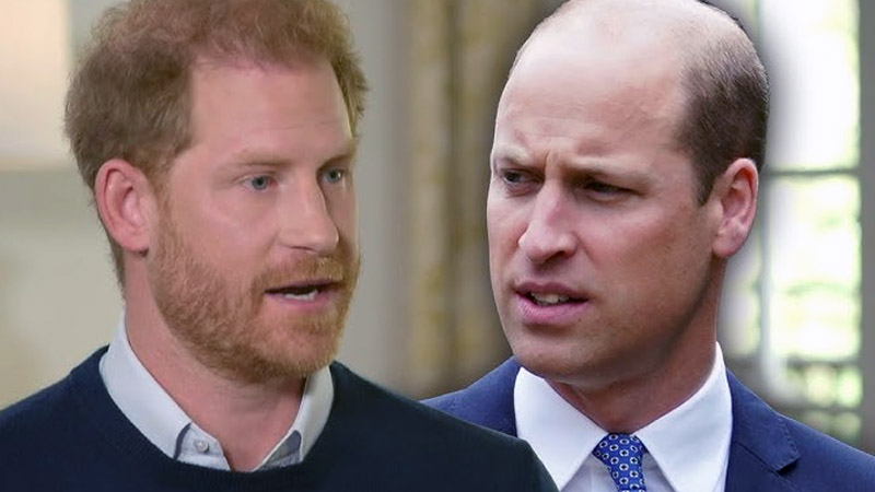  Insider Reveals: Prince Harry and William’s Close Bond Was a ‘Myth’ Before Princess Diana’s Death