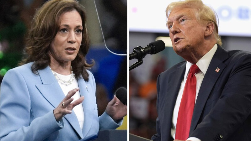 Trump and kamala