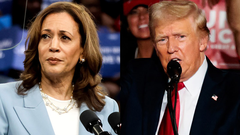  Trump’s Campaign in ‘Meltdown’ as Attacks on Kamala Harris Backfire, Says Democratic Strategist