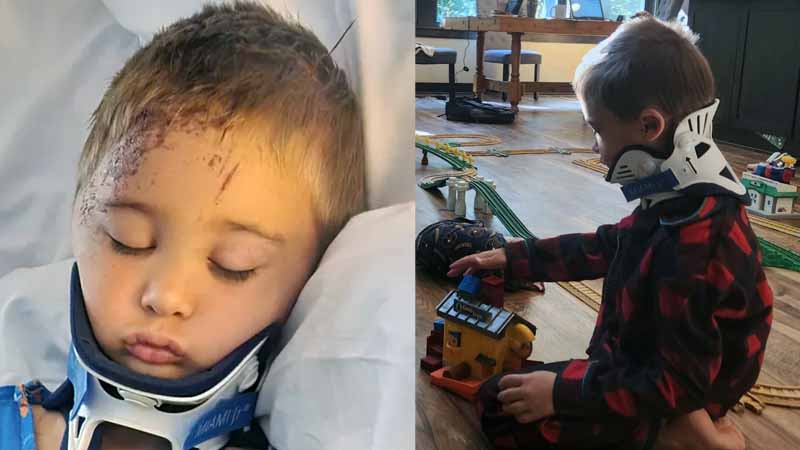  Tragic School Field Trip: 5-Year-Old Left with Skull Fracture After Shocking Wagon Accident