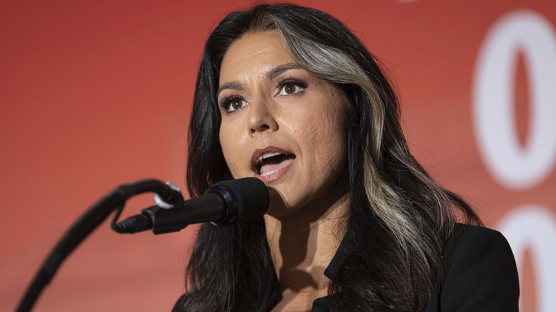  “They’re Revealing Themselves as Dictators”: Tulsi Gabbard Attacks Democrats Over Hurricane Response