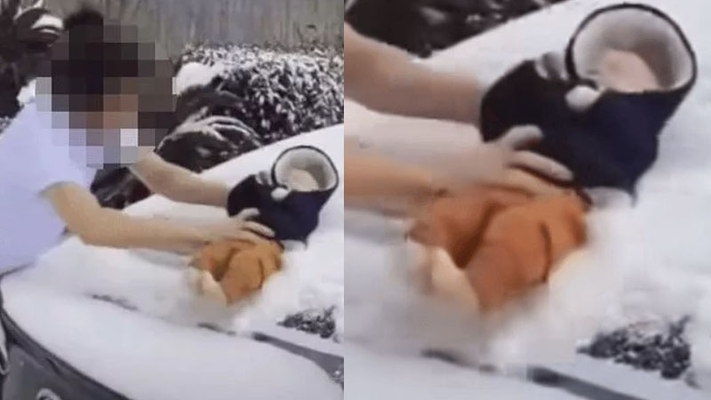  25-year-old Father and 3-month-old baby to brush snow off car ‘for TikTok views