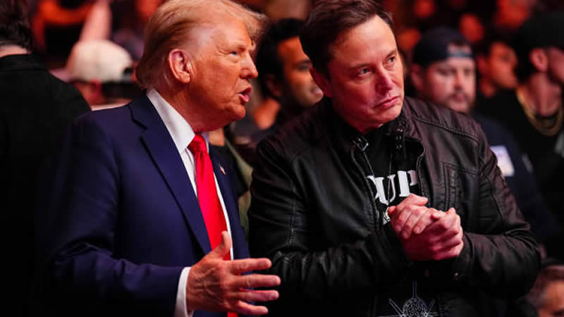 trump and elon ufc