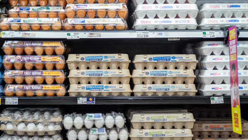 eggs in store